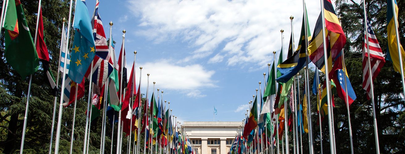 Two rows of national flags on poles under an open sky